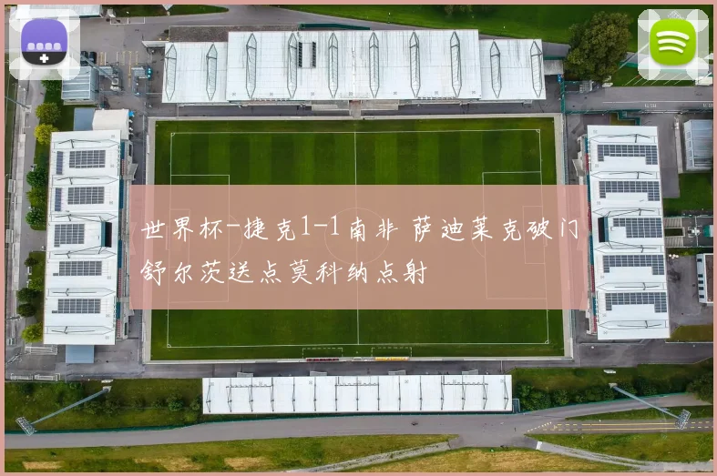 世界杯-捷克1-1南非 萨迪莱克破门舒尔茨送点莫科纳点射